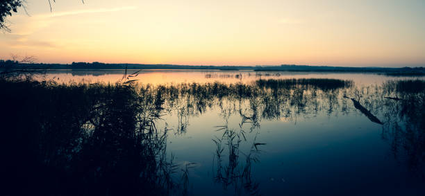 istock Beautiful sunrise over the lake 1175264590