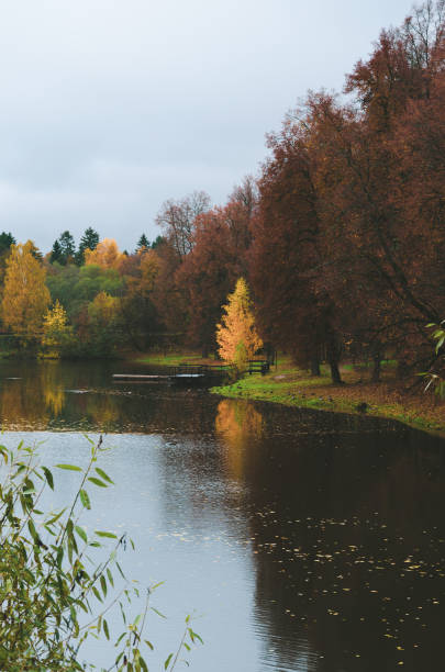istock Cloudy autumn landscape with pond in park 1175265077