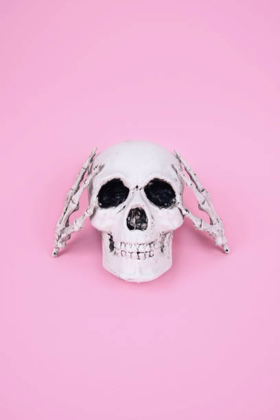 istock Skull on trendy pastel pink background. Creative Halloween concept. 1175265288