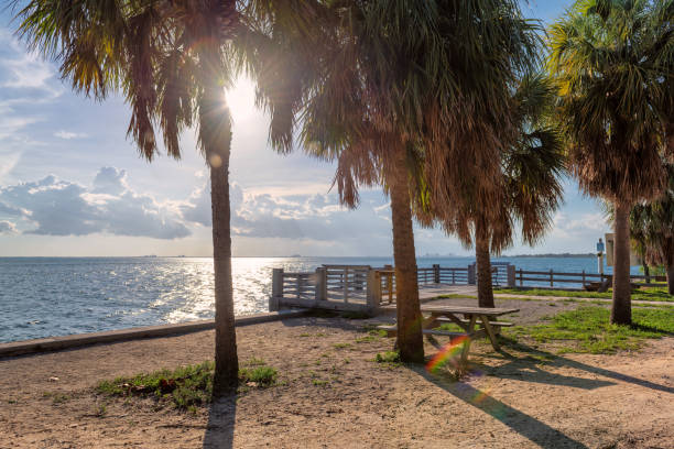 istock Picnic on the beach in Key Biscayne, Florida 1175265397