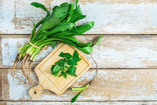 hierbas culantro en una tabla de cortar de madera - long coriander fotografías e imágenes de stock