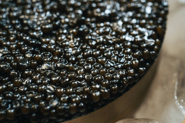 istock Sturgeon black caviar in can 1175269643