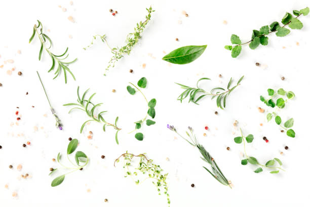 erbe culinarie e spezie, girate dall'alto su sfondo bianco, motivo di cottura - rosemary food herb cooking foto e immagini stock