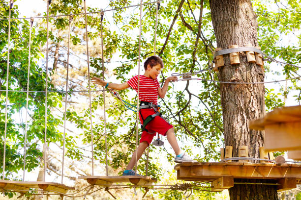 istock Boy walk on suspended rope bridge between trees 1175270305