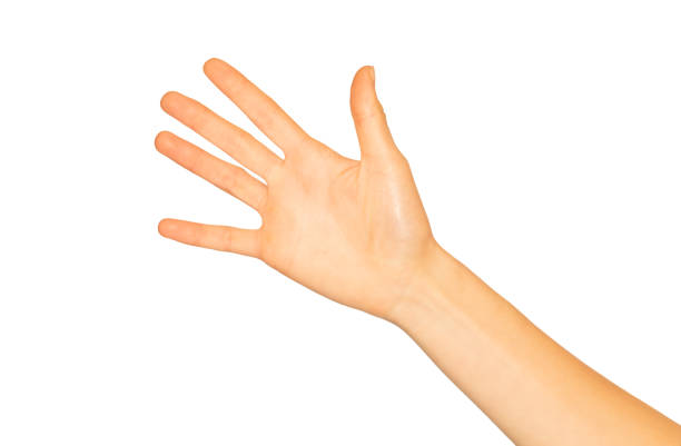 istock Close up of female hand front side 1175270613