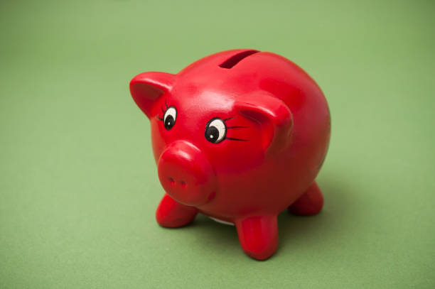 istock red piggy bank on green background 1175272243