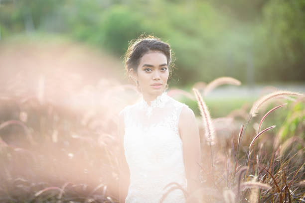 novia mujer asiática al aire libre en una mañana que rodea por la luz del sol de oro y la flor de hierba. - bride women standing beauty in nature fotografías e imágenes de stock