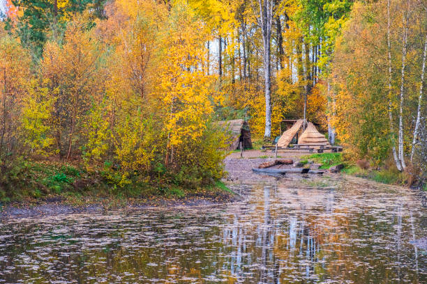 cabañas en una playa en un lago forestal en otoño - logboat fotografías e imágenes de stock