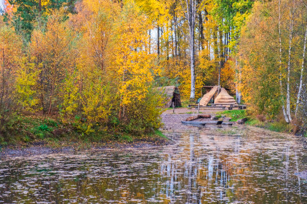 huttes à une plage à un lac de forêt en automne - logboat photos et images de collection