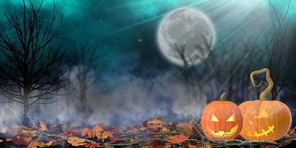 3D orange halloween pumpkin lantern in dark forest with 3D autumn objects; yellow leafs, branches, clouds, full moon, stars