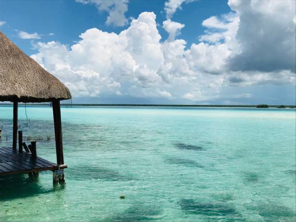 istock Blue and transparent waters in Bacalar lagoon 1175281986