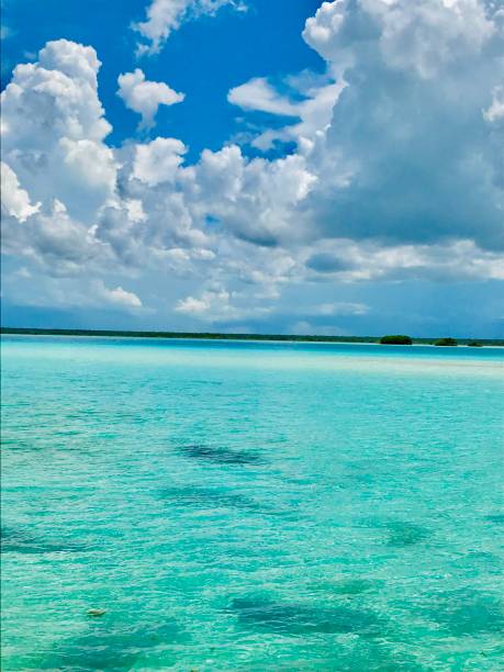 istock Blue and transparent waters in Bacalar lagoon 1175282045
