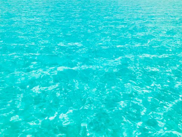 istock Blue and transparent waters in Bacalar lagoon 1175282997