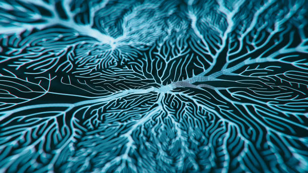 Neuron system Neuron cells system - 3d rendered image of Neuron cell network on black background. Hologram view interconnected neurons cells with electrical pulses. Conceptual medical image. Glowing synapse. Healthcare concept. central nervous system photos stock pictures, royalty-free photos & images