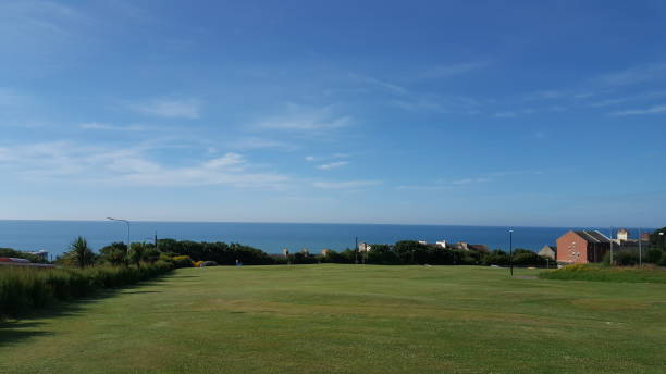 istock Meadow with Sea in background, Hastings, UK 1175284593
