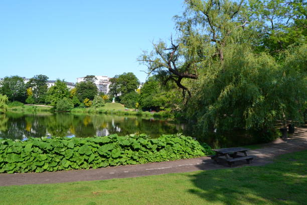 istock Park with Pond in Copenhagen 1175284694