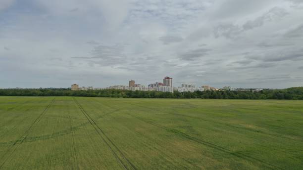 istock Green Wheat Field Areal Photo 1175284706