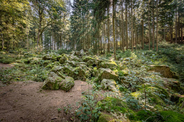 istock Blockstrom, Kaser, Steinstuben, Voglarn, Wittibreut, Triften, Pfarrkirchen 1175284788