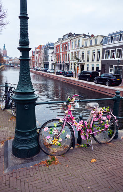 istock Bicycle with flowers on a bridge in The Hague. 1175285940