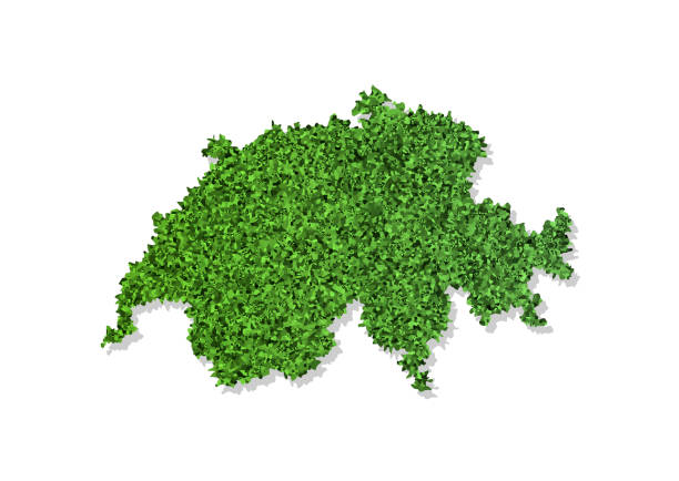 istock Vector simplified illustration icon with green grassy silhouette of Switzerland map. White background 1175286012