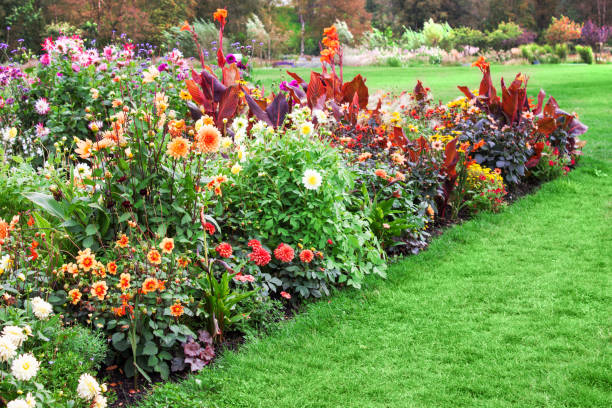 istock Autumn bed in a park 1175287967
