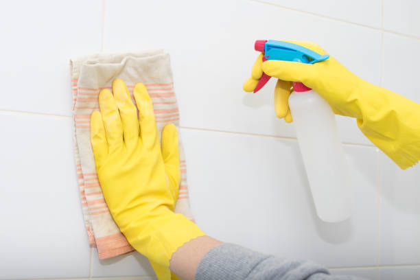 istock hand with cloth and spray cleaning 1175289286