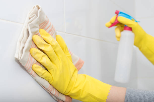 istock hand with cloth and spray cleaning 1175289298