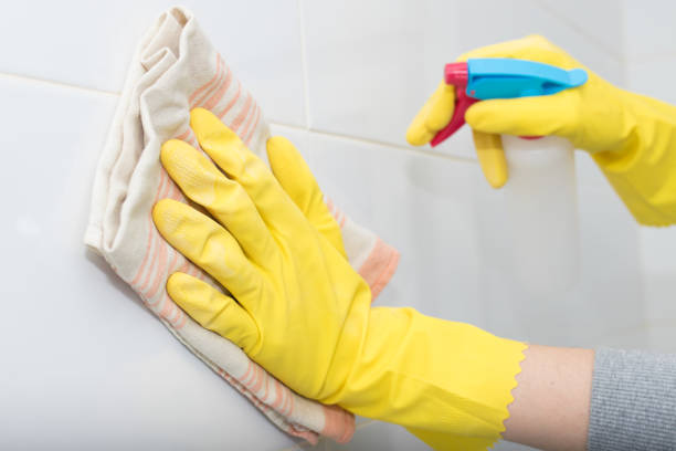 istock hand with cloth and spray cleaning 1175289331