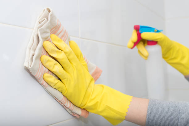 istock hand with cloth and spray cleaning 1175289340