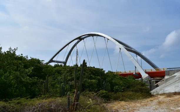 istock Arch Suspension Bridge Over the Spanish Lagoon 1175289641
