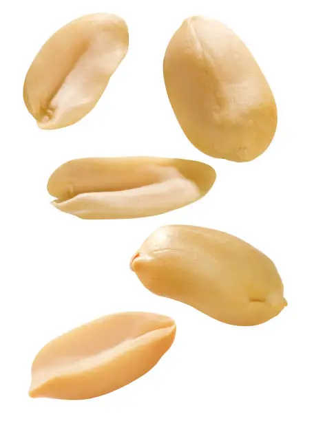 Peanut kernels on white background