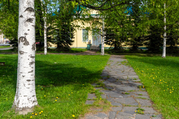istock Stone-paved path to small yellow house among birches and firs 1175292545