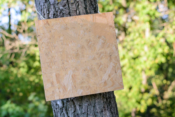 istock Empty wooden signboard on tree in park 1175292702