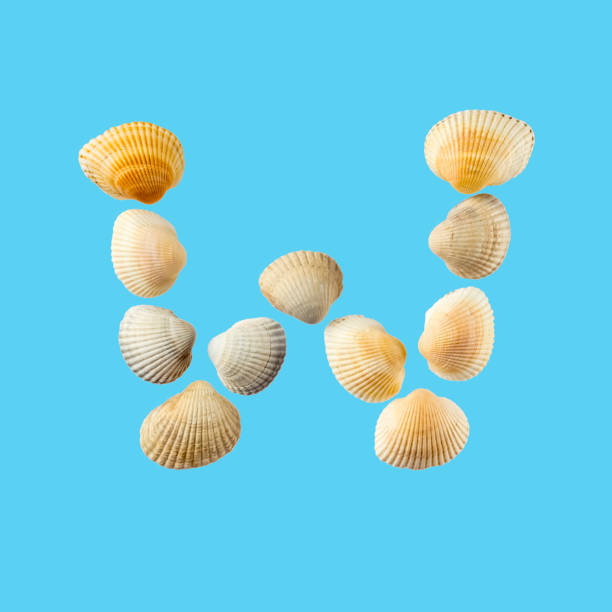 istock Letter 