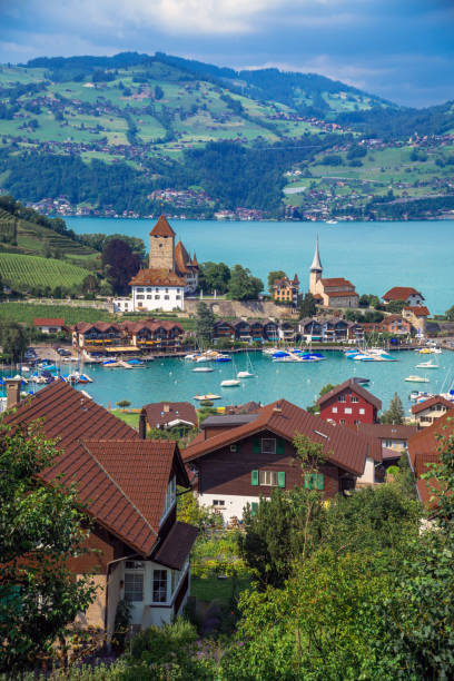 spiez на берегу озера тун (озеро тун), швейцария - berne berne canton roof cityscape стоковые фото и изображения