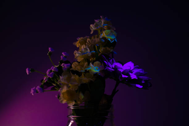 istock Purple Flowers in a mason jar 1175293870