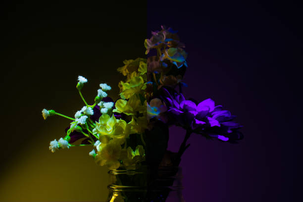 istock Yellow/Purple flowers in a mason jar 1175293902