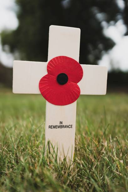 istock Remembrance day cross with poppy 1175294257
