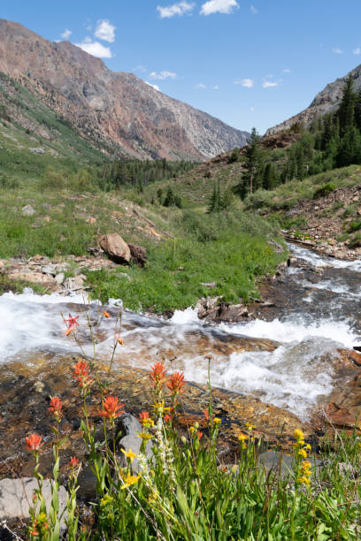 istock Lundy Canyon Beauty 1175295056