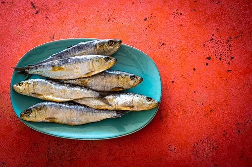 Salty salted sardines in turquoise plate on coral color board