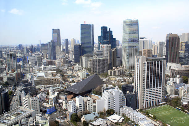 istock Aerial view on Tokyo, Japan 1175297288