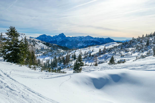 Nassfeld - Snow covered mountains Cloudy morning in Alps, Nassfeld, Austria. Mountain slopes covered with snow. Sharp edges of the Alps. Softly colored sky. A new day begins. Pine trees popping out of the snow on the slopes. winter sunrise mountain snow stock pictures, royalty-free photos & images