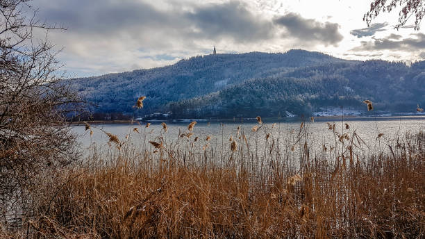 Pötschach - A lake with a hill behind it A view through the dried grass on a lake and a hill in the back. There is a tower on top of a hill. Slopes of the hills are turning golden. Calm surface of the lake. Some trees on the side. Overcast pörtschach am wörthersee stock pictures, royalty-free photos & images