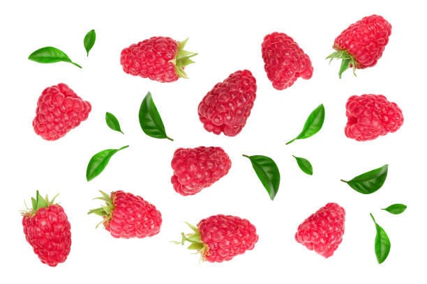 istock raspberries with leaves isolated on white background. Top view. Flat lay 1175299354