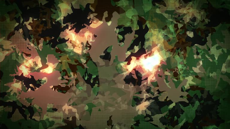 Camo Pattern Loop 480+ Woodland Camo Pattern Stock Videos and Royalty-Free Footage - iStock