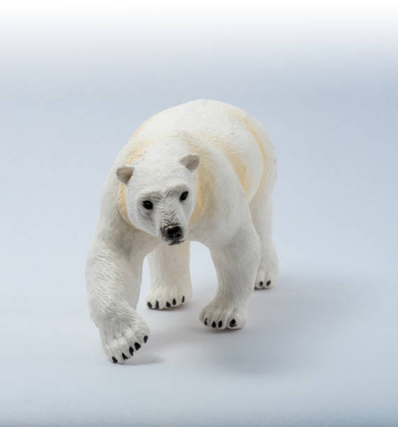 istock Toy Polar Bear On White background 1175300372