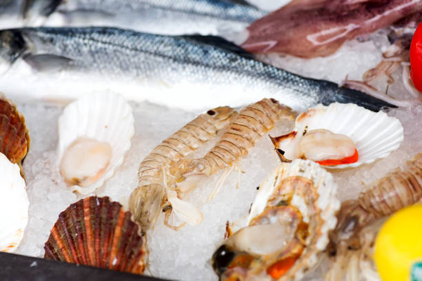 istock Fresh oysters and shrimp on display a containing on ice at seafood restaurant. 1175301063