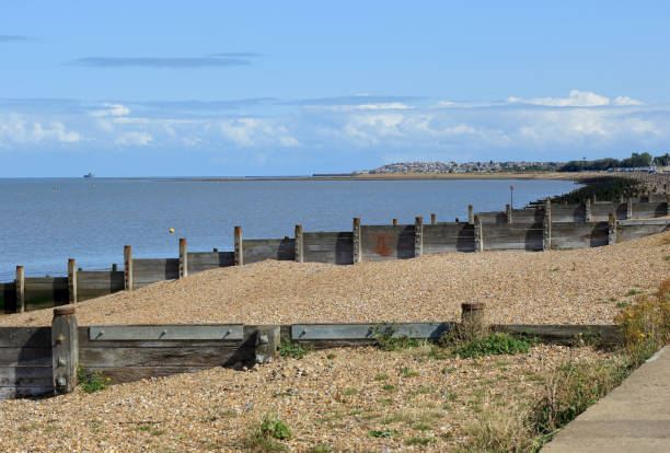 istock The pebbled beach at Tankerton and Whitstable 1175301071