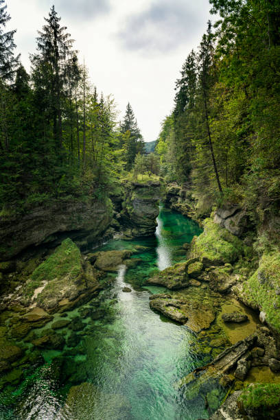 トラウンフォールアッパーオーストリア - mountain stream ストックフォトと画像