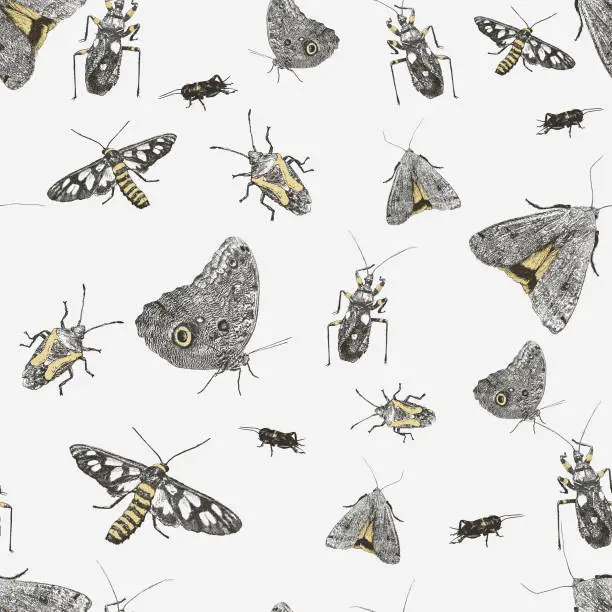 Vector illustration of Various Insect Seamless Repeat